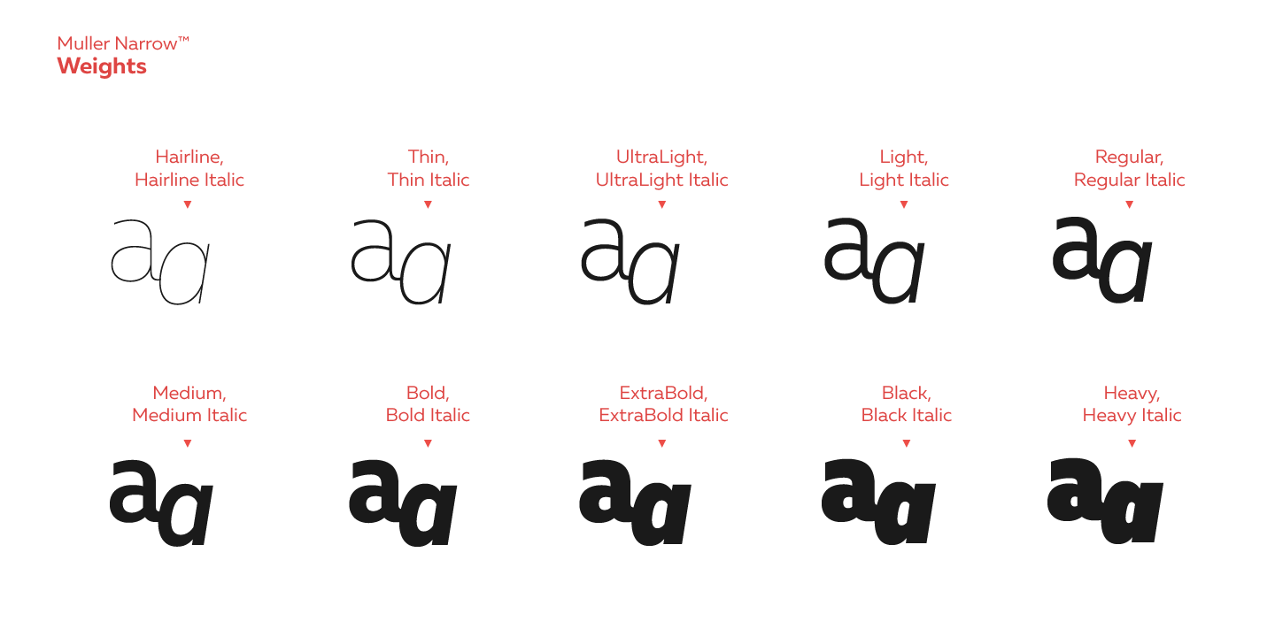 Muller Medium Italic Font preview