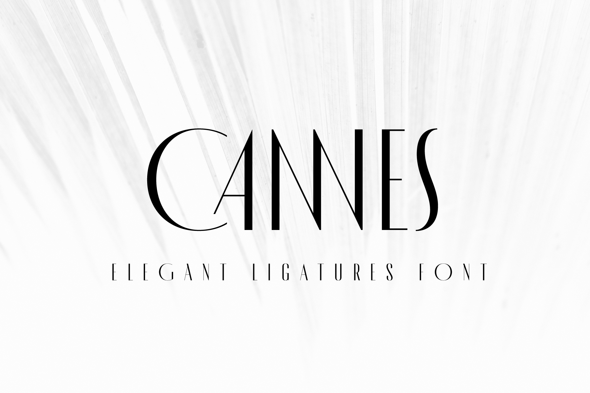 MADE Cannes Regular Font preview