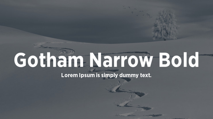 Gotham XNarrow Medium Font preview