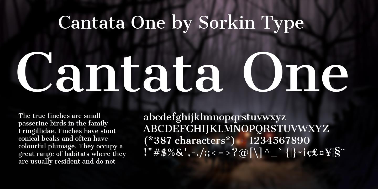 Cantata One Font preview