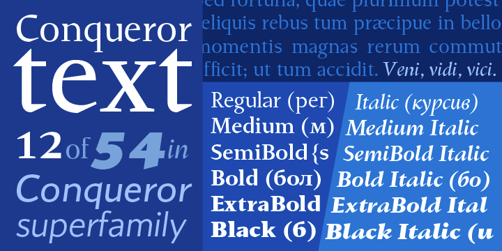 Conqueror  Text  Medium Font preview