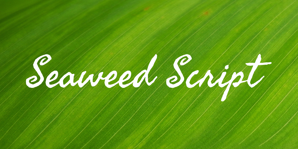 Seaweed Script Regular Font preview