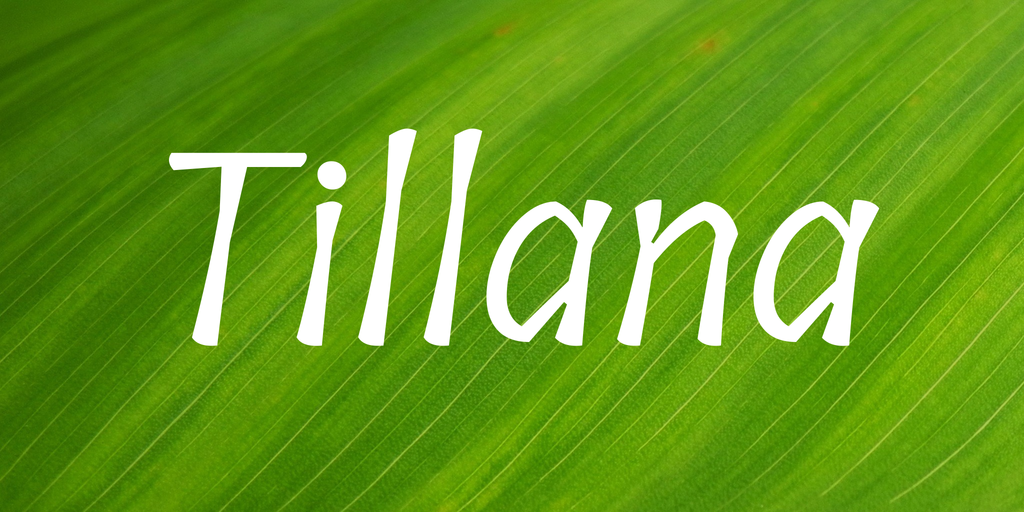 Tillana Medium Font preview