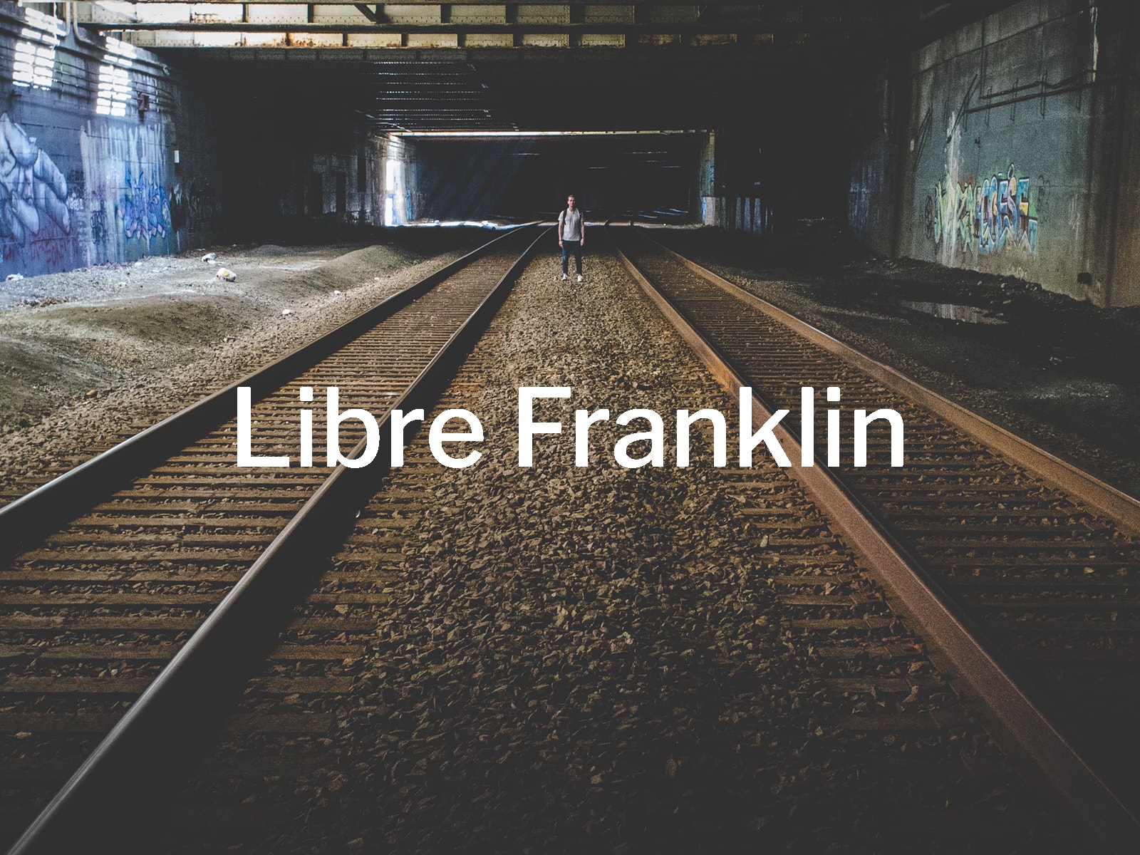Libre Franklin Medium Font preview