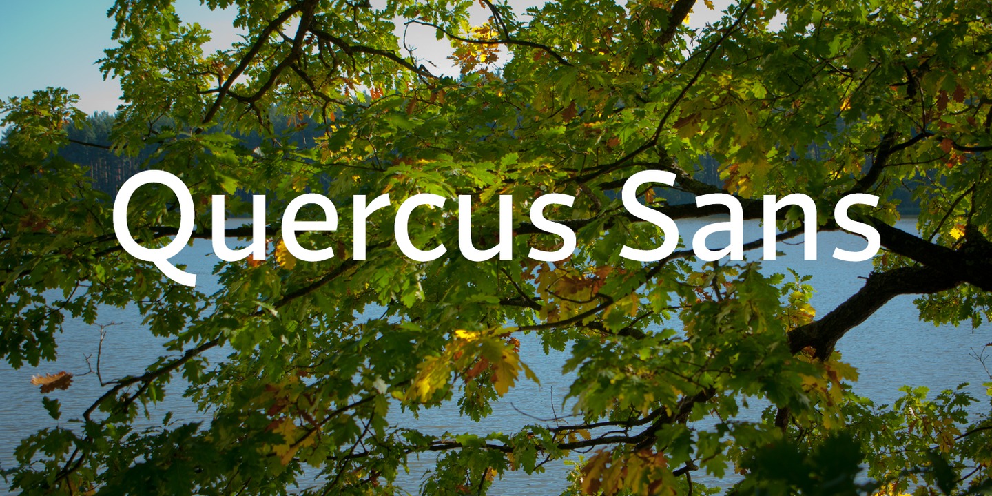 Quercus Sans Medium Font preview