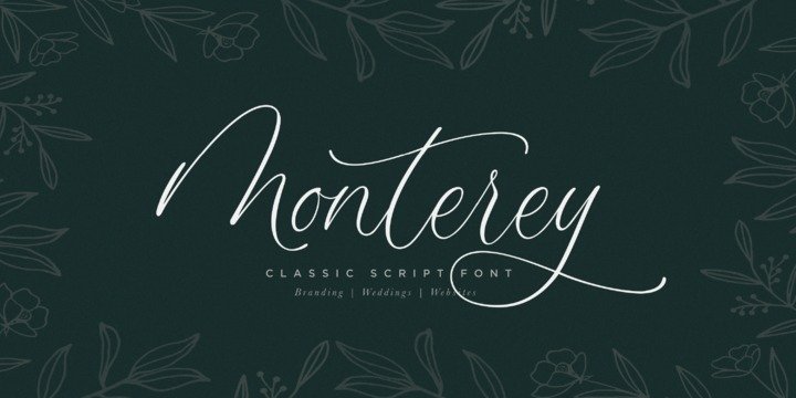 Monterey Script Regular Font preview