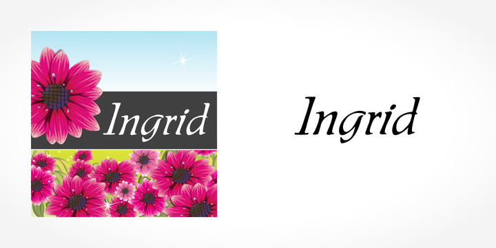 Ingrid Regular Font preview