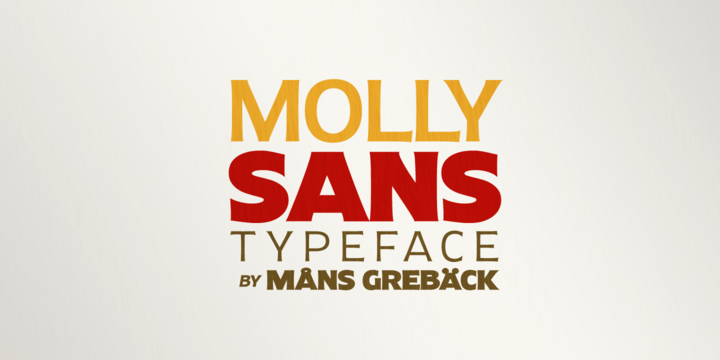 Molly Sans N Medium Font preview