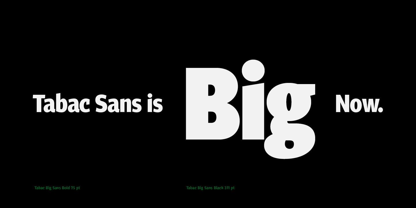 Tabac Big Sans Medium Font preview