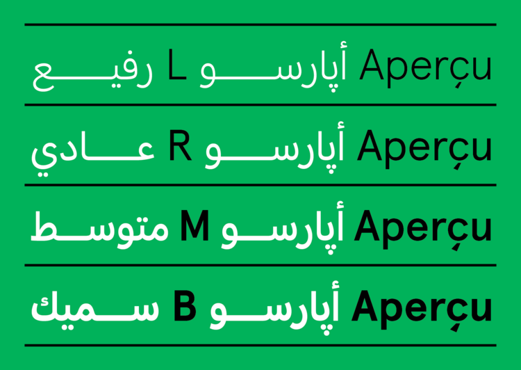 Apercu Arabic Pro Font preview