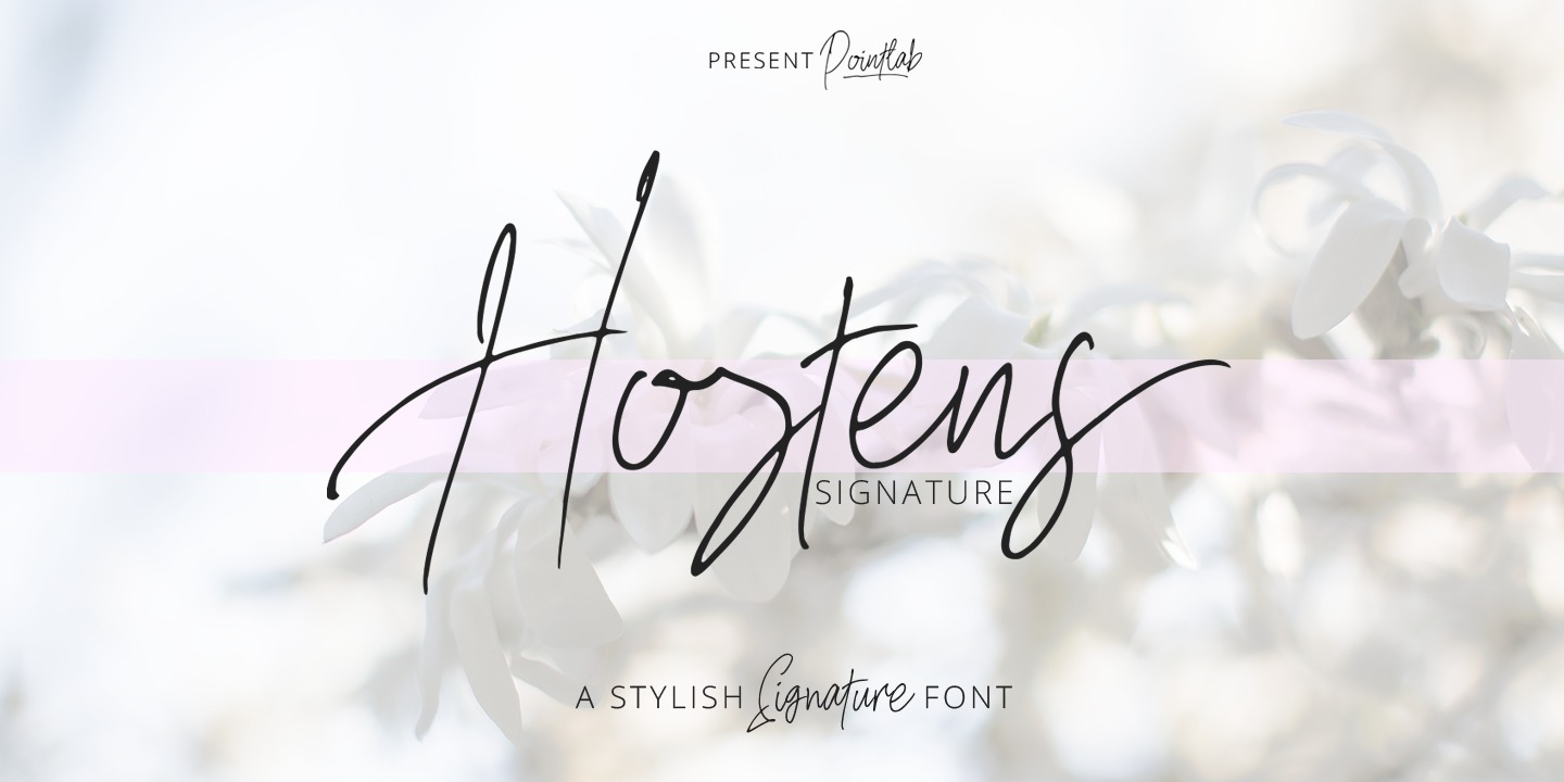 Hostens Signature Font preview