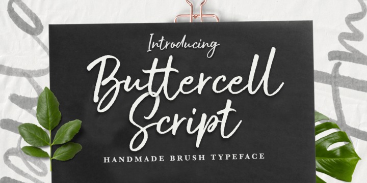 Buttercell Script Regular Font preview