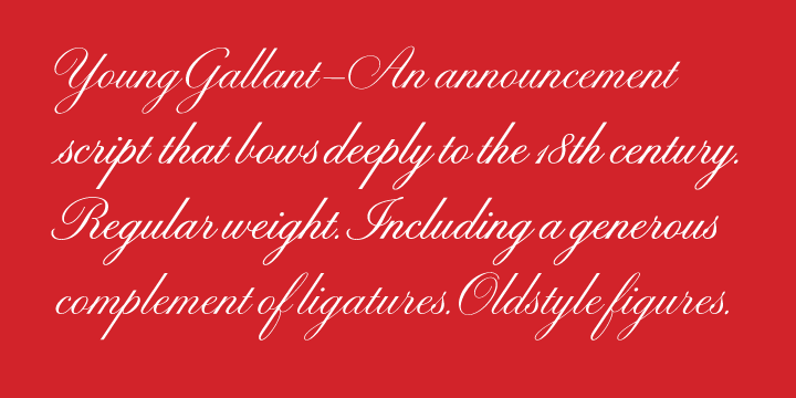 Young Gallant Regular Font preview