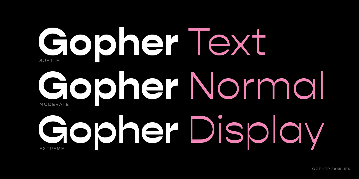 Gopher Text Medium Font preview