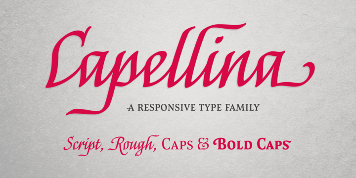 Capellina Script Font preview