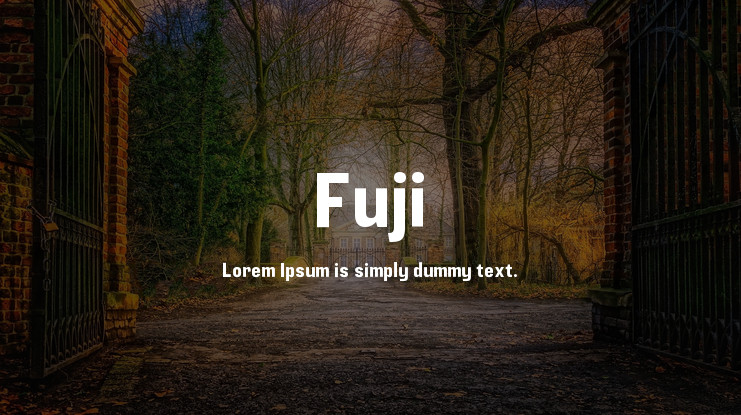 Fuji Font preview