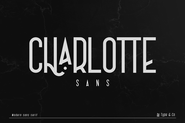 Charlotte Sans Medium Font preview