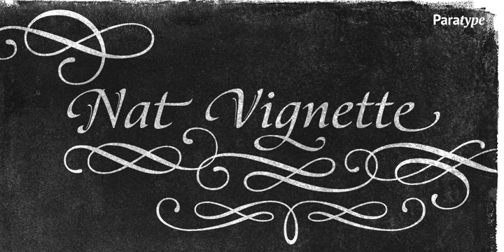 Nat Vignette One Font preview