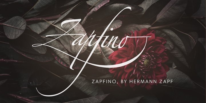Zapfino Extra Font preview