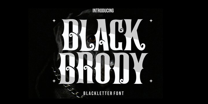 Black Brody Regular Font preview