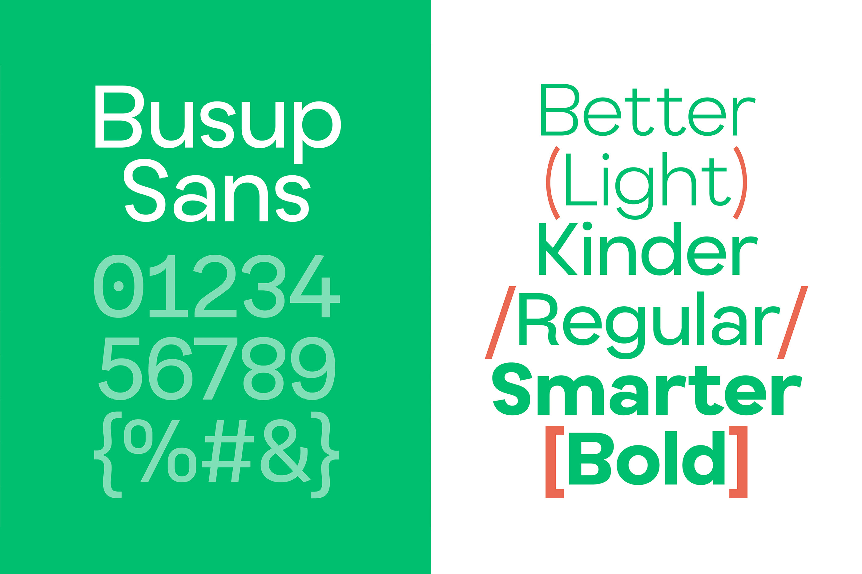 Busup Sans Regular Font preview