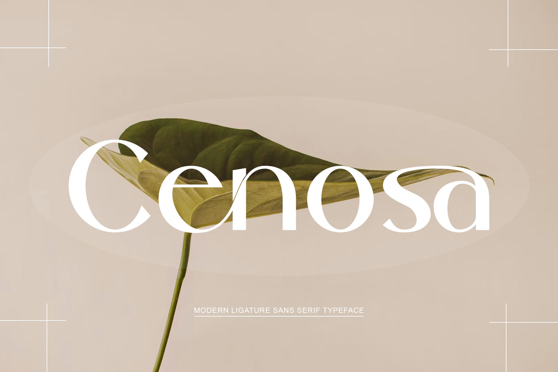 Cenosa Font preview