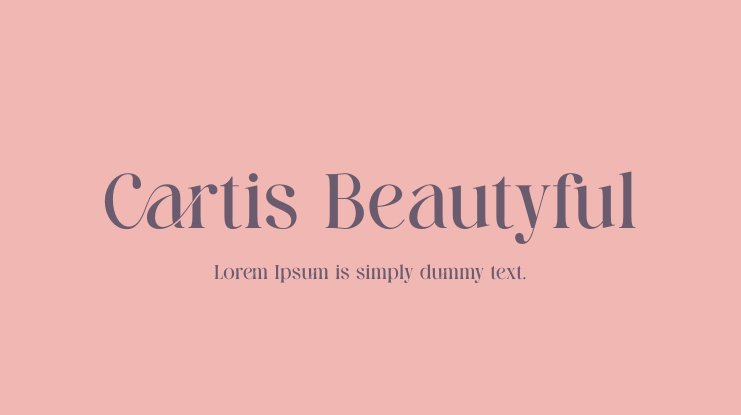 Cartis Beautyful Script Font preview