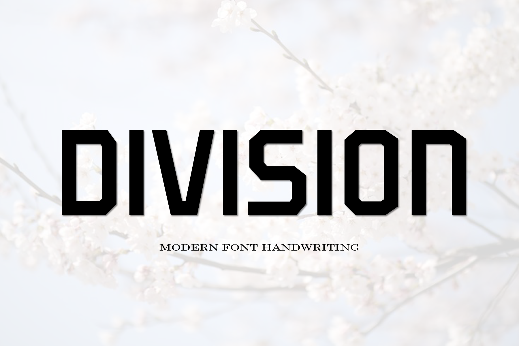 Division Font preview