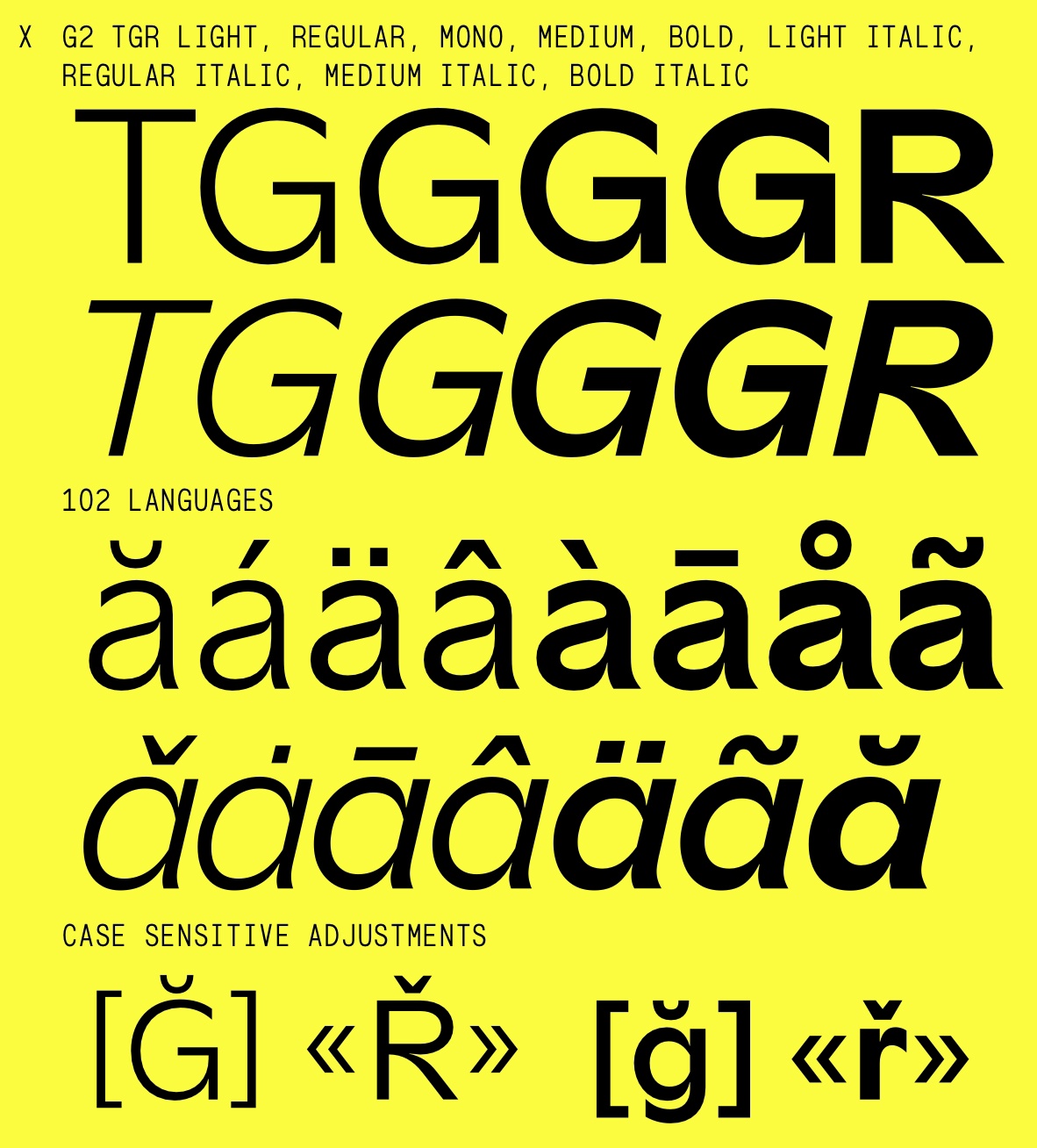 G2 TGR Medium Italic Font preview
