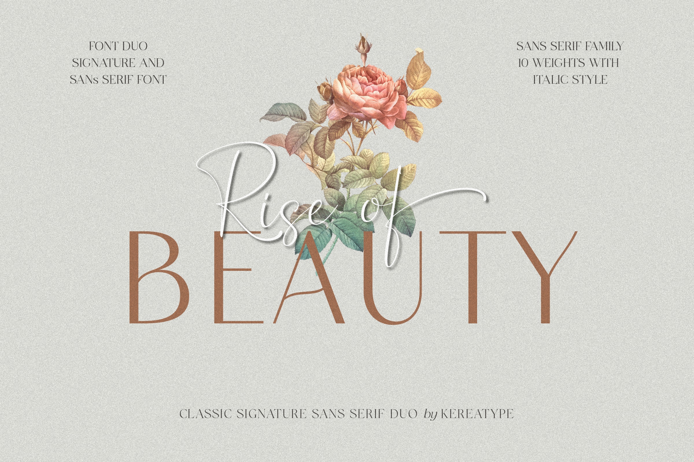 Rise of Beauty Light Font preview