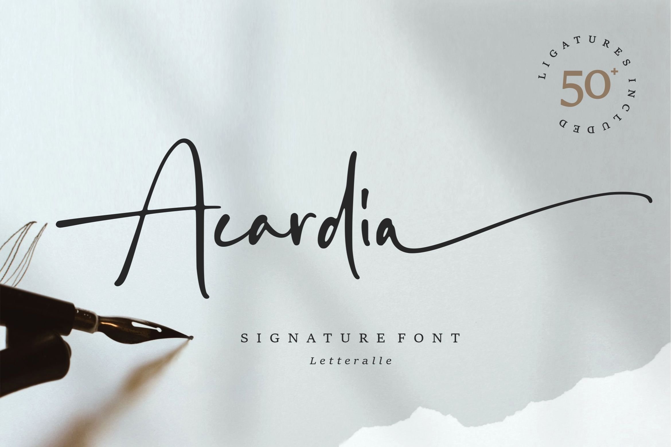 Acardia Signature Regular Font preview