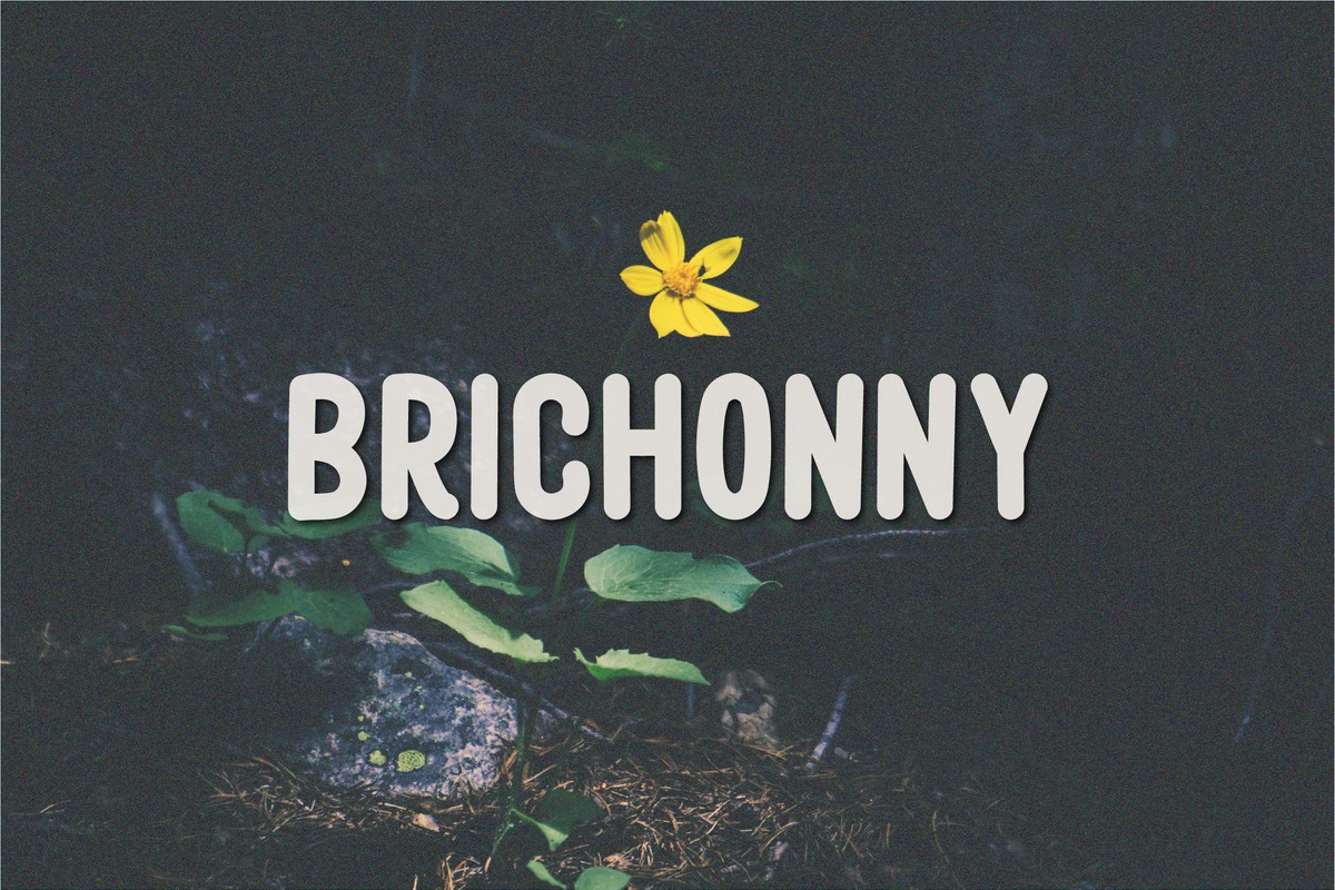 Brichonny Font preview