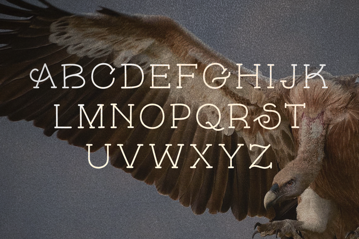 Skybird Regular Font preview