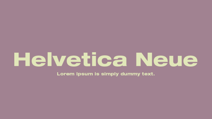 Helvetica Neue Heavy Italic Font preview