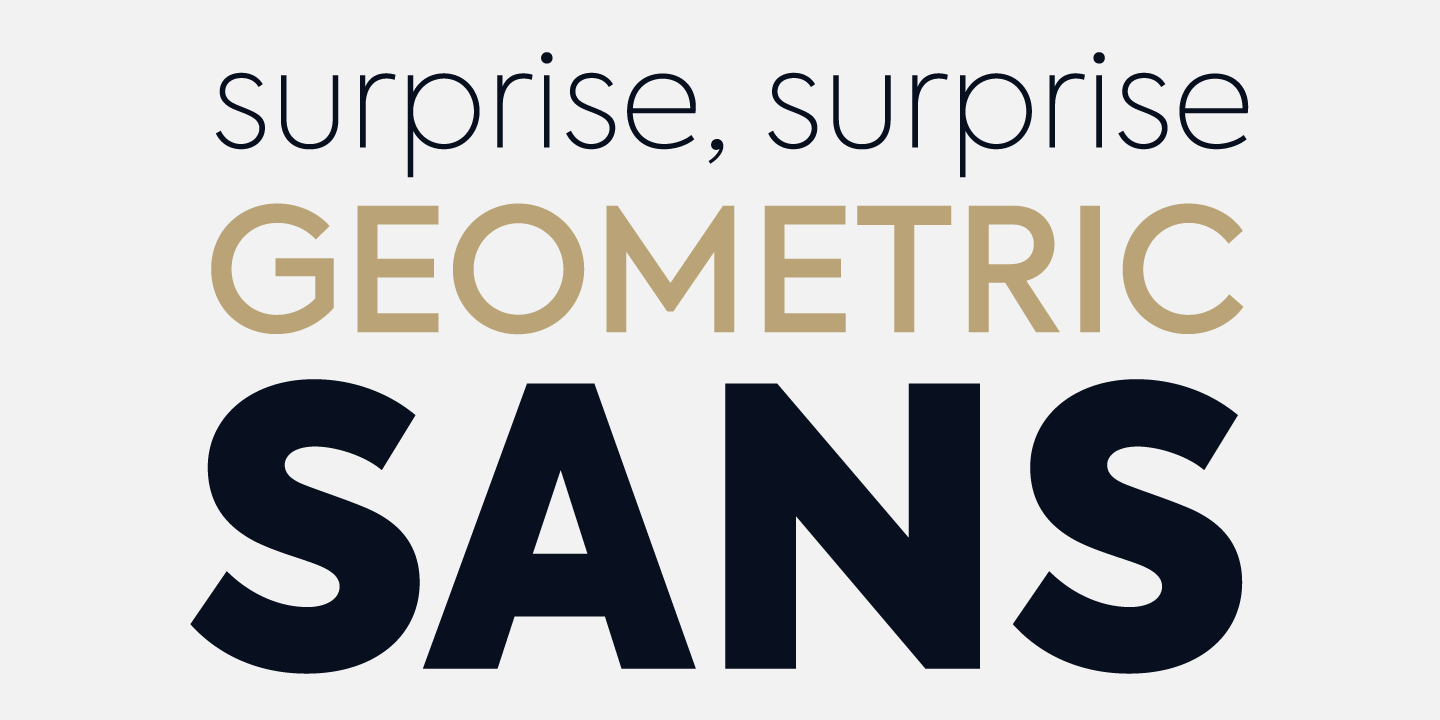 Axiforma Extra Bold Font preview