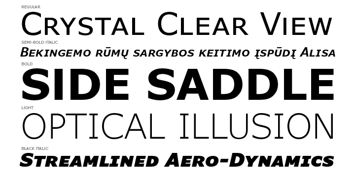 Verdana Pro Light Italic Font preview