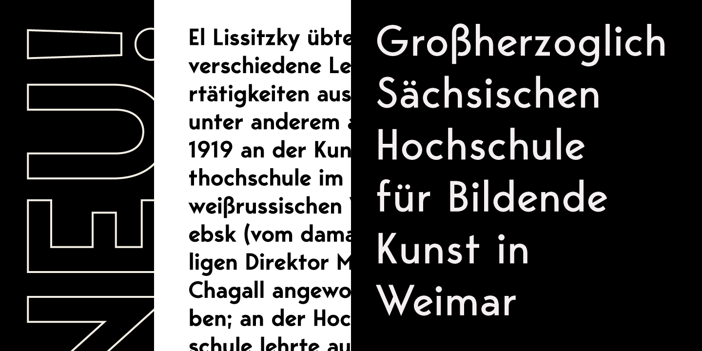 Bergen Sans Bold Italic Font preview