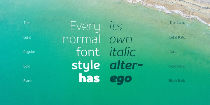 Souses  Light Italic Font preview