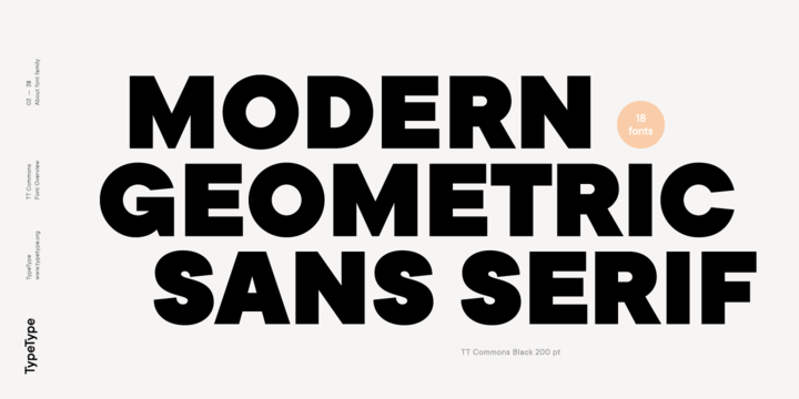 TT Commons  Bold Italic Font preview