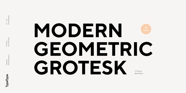 TT Norms Thin Italic Font preview