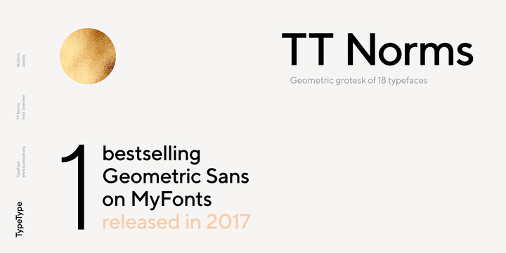 TT Norms Medium Italic Font preview