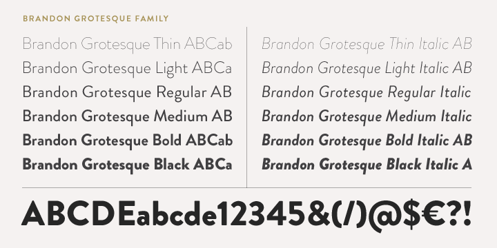 Brandon Grotesque Black Italic Font preview