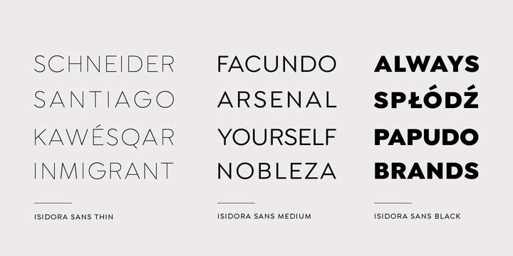 Isidora Sans Alt Medium Italic Font preview