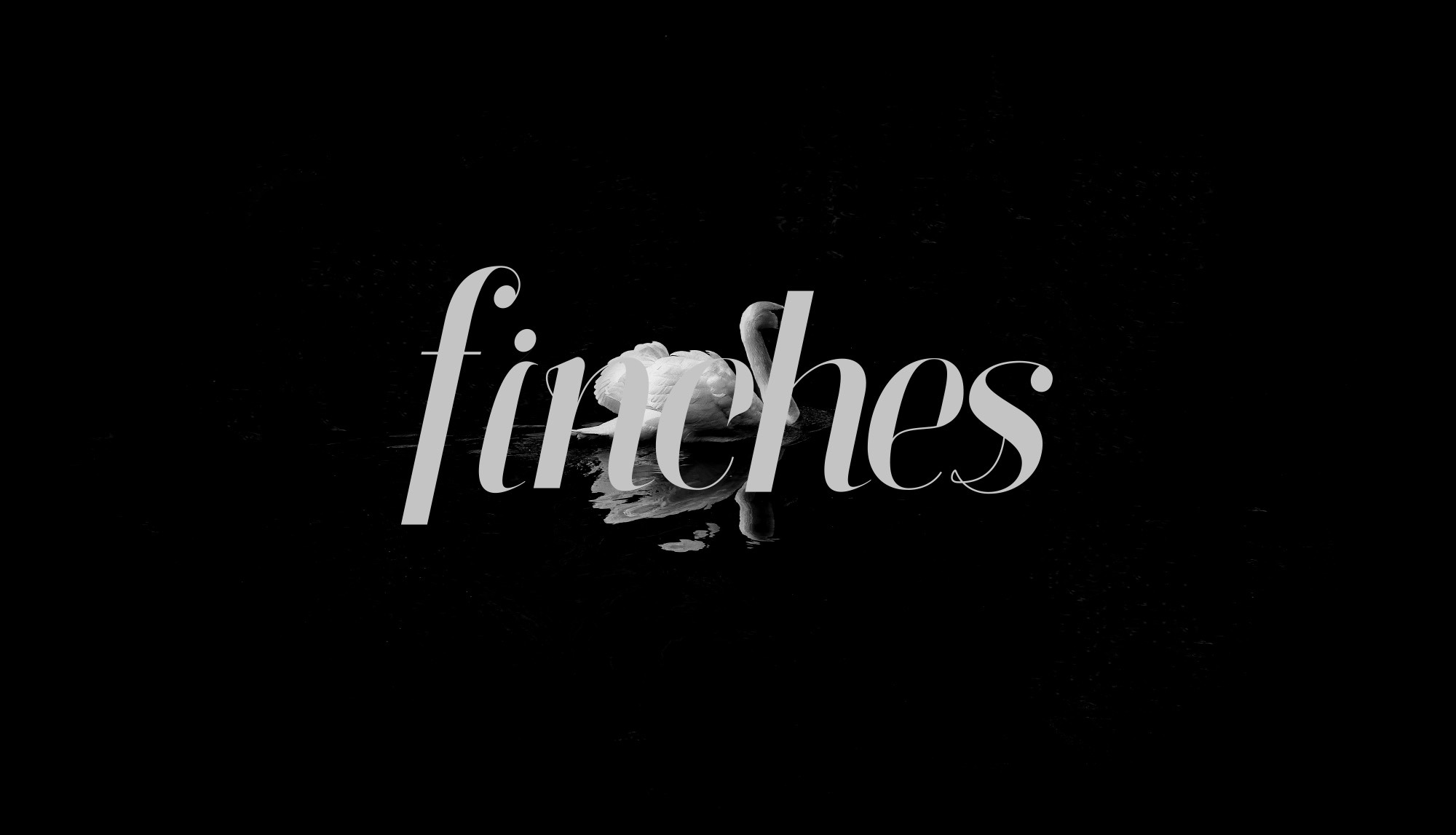 Finches Font preview