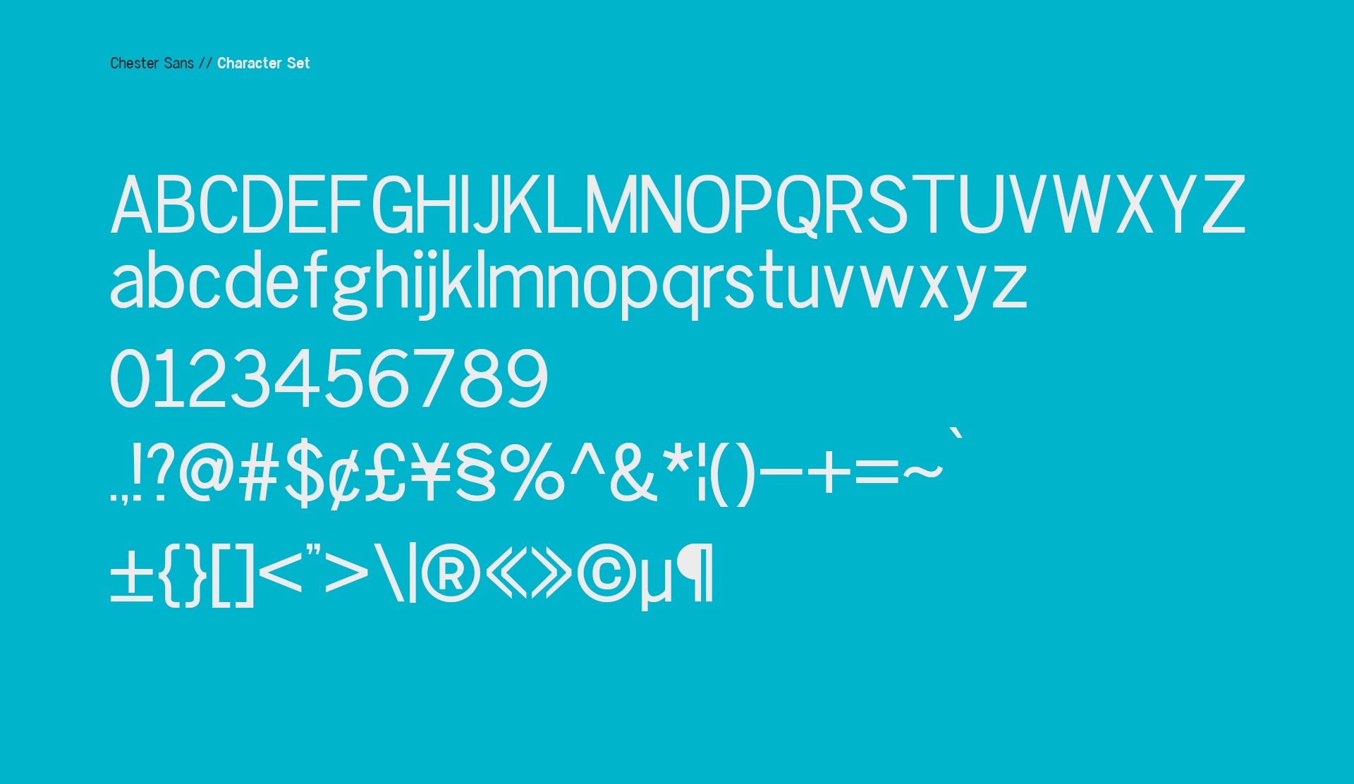 Chester Sans Bold Font preview