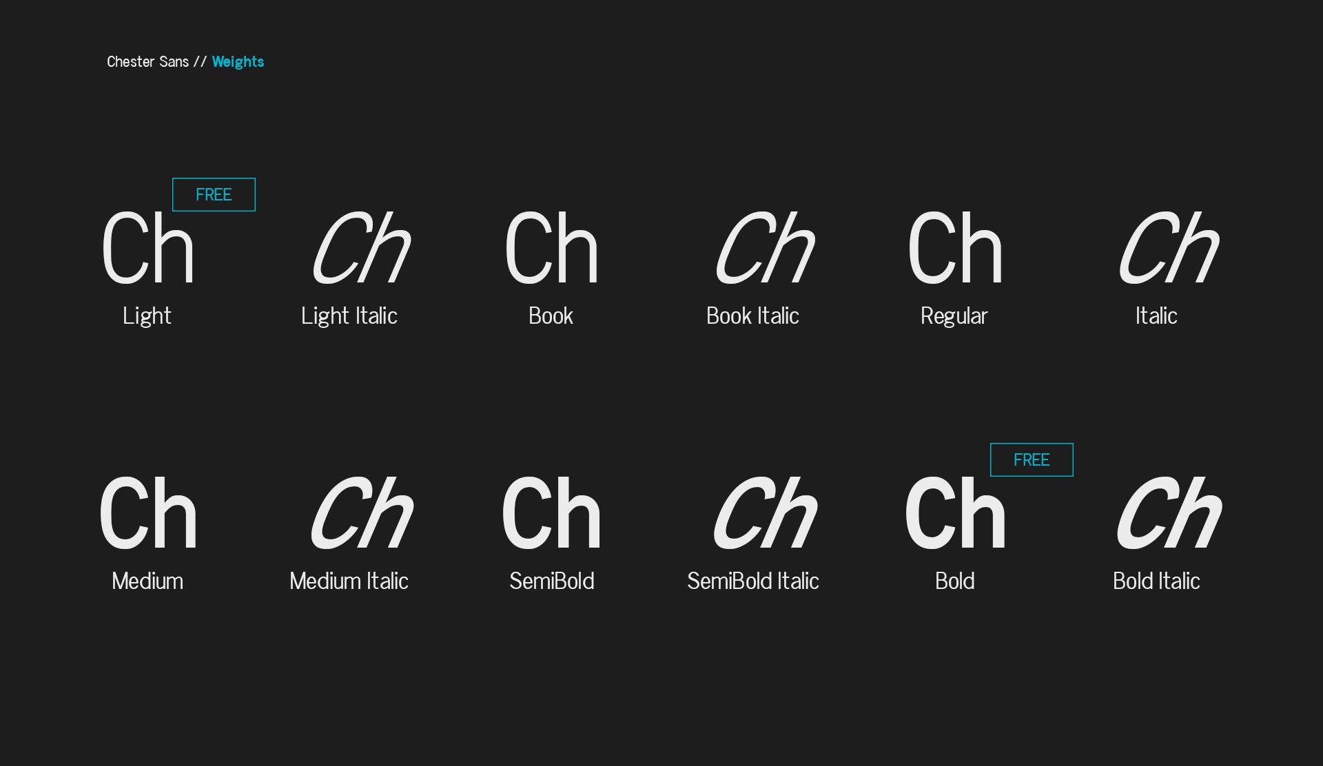 Chester Sans Bold Font preview