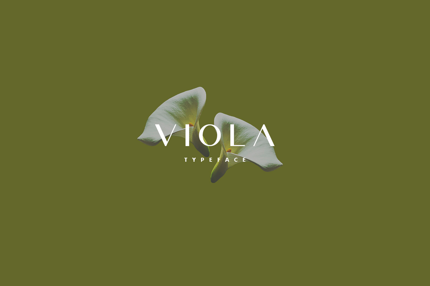 Viola Font preview