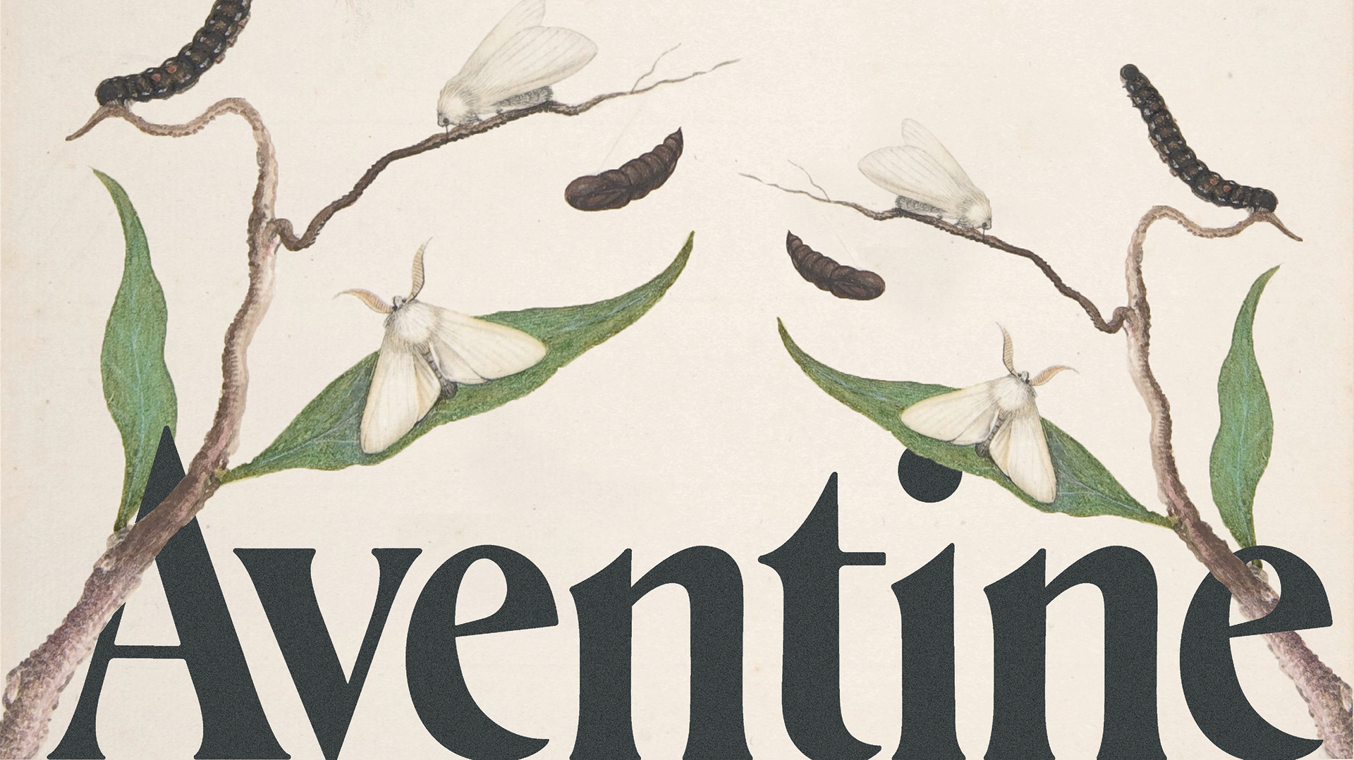 Aventine Font preview