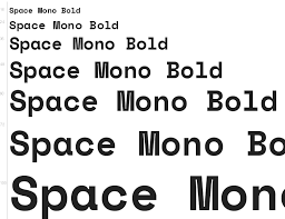 Space Mono Italic Font preview