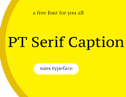 PT Serif Caption Caption Font preview